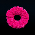 Scrunchie